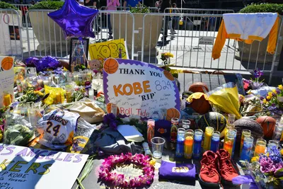 DSC_7131 (Large).JPG